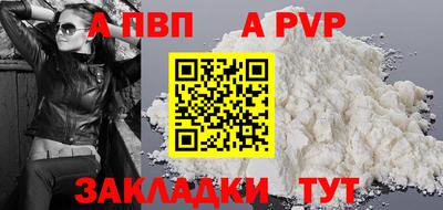 jwh Кингисепп