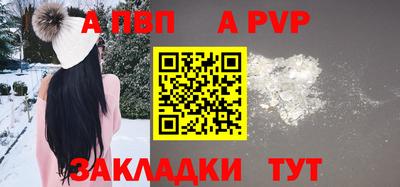 jwh Кингисепп