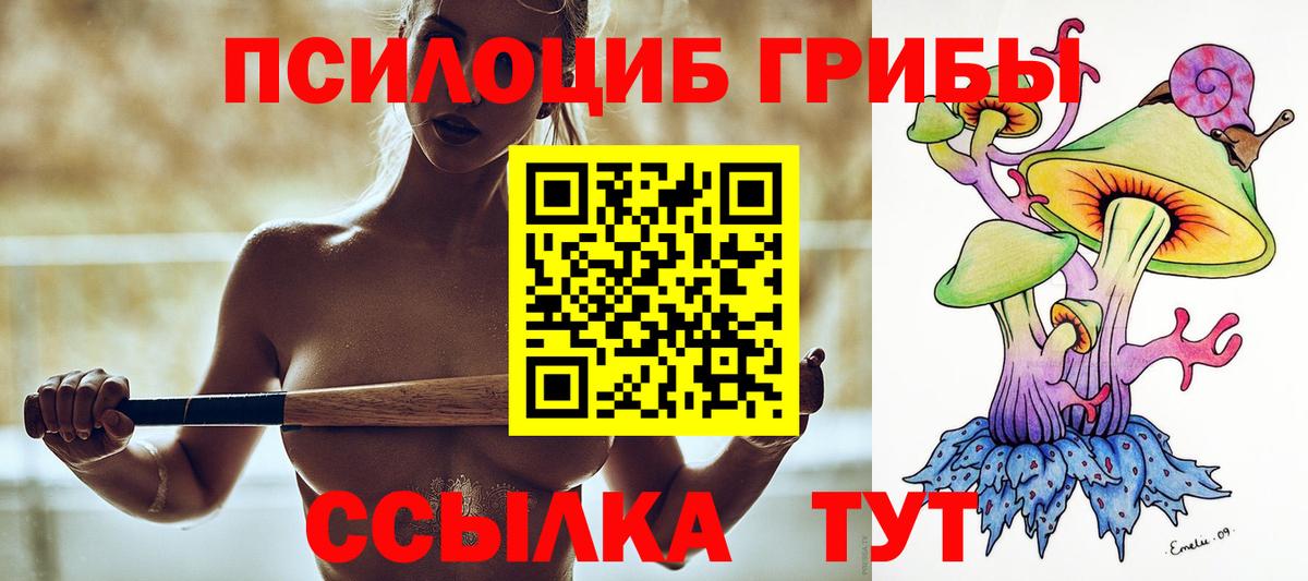 Красногорск  Псилоцибиновые грибы MAGIC MUSHROOMS  Вход с VPN 